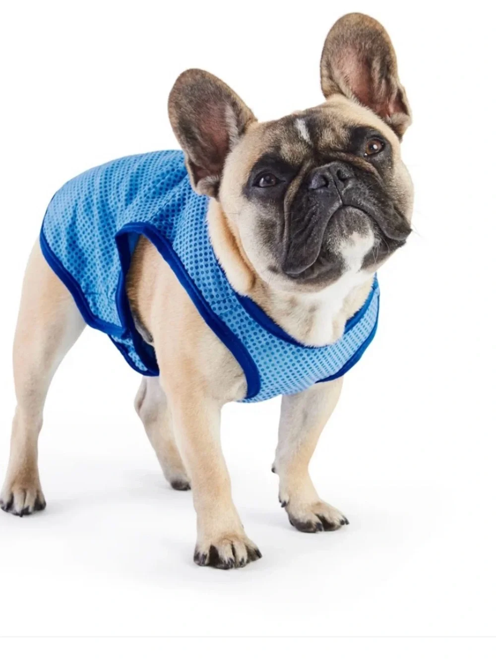 GF Pet Ice Vest Cooling Dog Harness - Blue